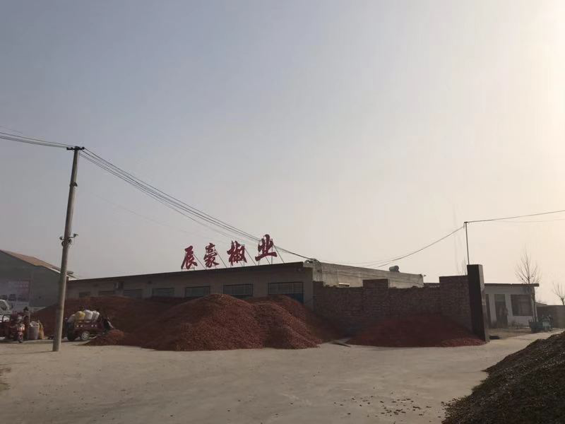 基地實力